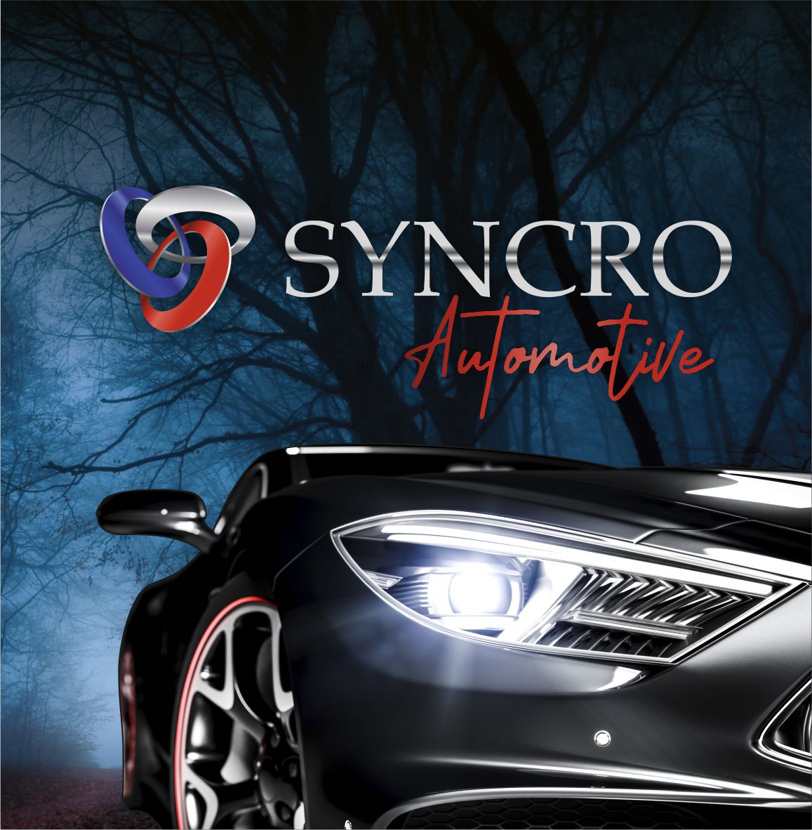 Syncro Automotive 9005 LED Fog Light Bulb Set